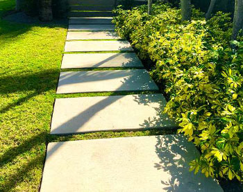Concrete driveway